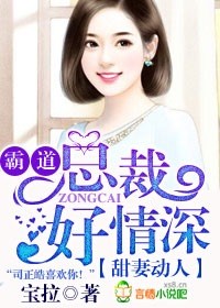 霸道总裁甜宠妻小说有哪些封面