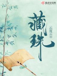 藏珠（重生）小说封面